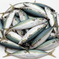 Fresh Ayala - Product Image
