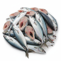 Fresh Neymeen Seer Fish - OCK Harbour Fresh Fish