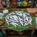 Fresh Market Ayakkura Ribbon Fish - OCK Kerala Market Fish